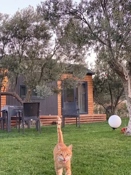Villa Otronto-2
